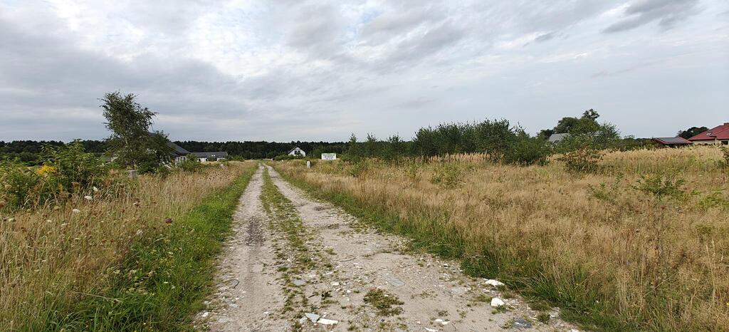 Działka na sprzedaż Białuń 3 000 m2 | Arka Nieruchomości