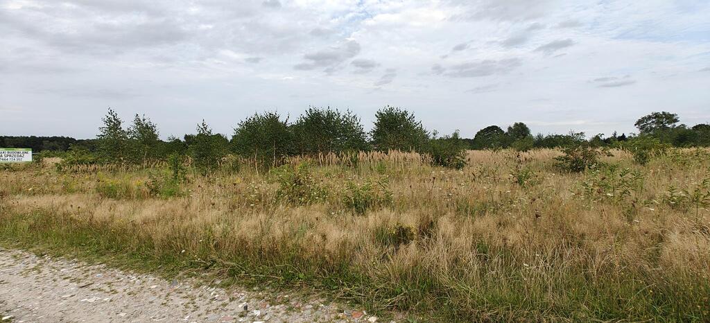 Działka na sprzedaż Białuń 3 000 m2 | Arka Nieruchomości