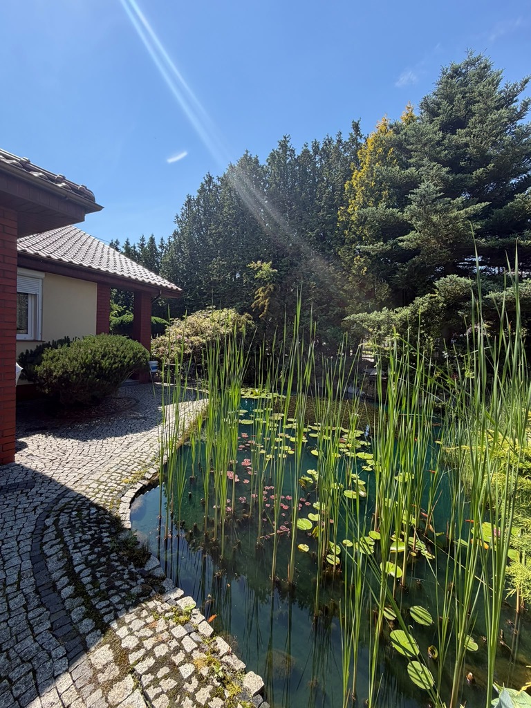 Dom na sprzedaż Bierzwnik 200 m2 | Arka Nieruchomości