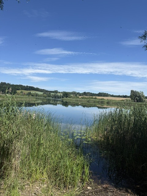 Działka na wynajem Binowo 2 238 m2 | Arka Nieruchomości
