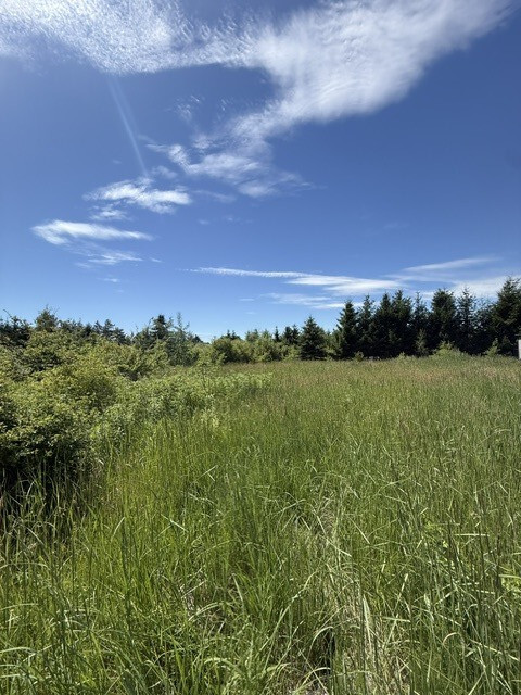 Działka na wynajem Binowo 2 238 m2 | Arka Nieruchomości