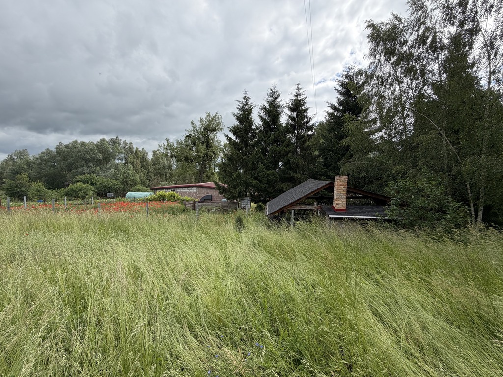 Dom na sprzedaż Brzezin 2 803 m2 | Arka Nieruchomości