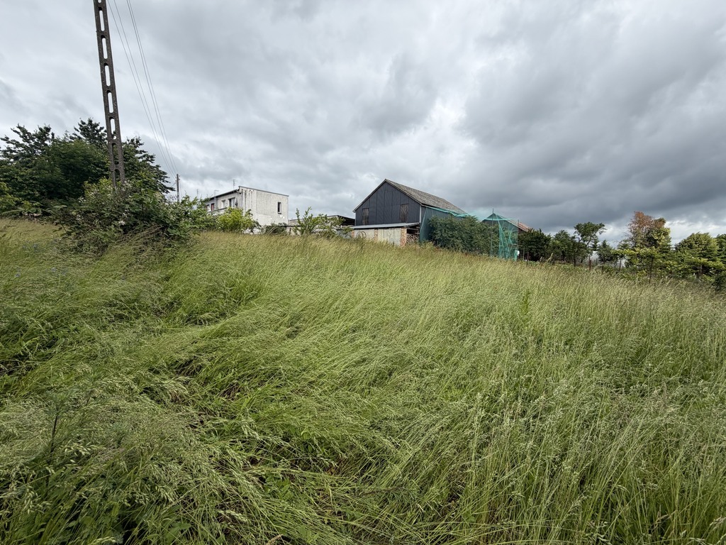 Dom na sprzedaż Brzezin 2 803 m2 | Arka Nieruchomości