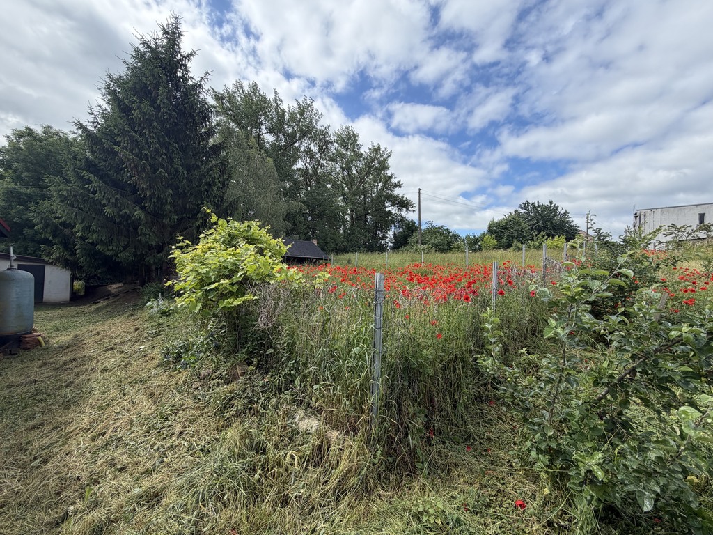 Dom na sprzedaż Brzezin 2 803 m2 | Arka Nieruchomości