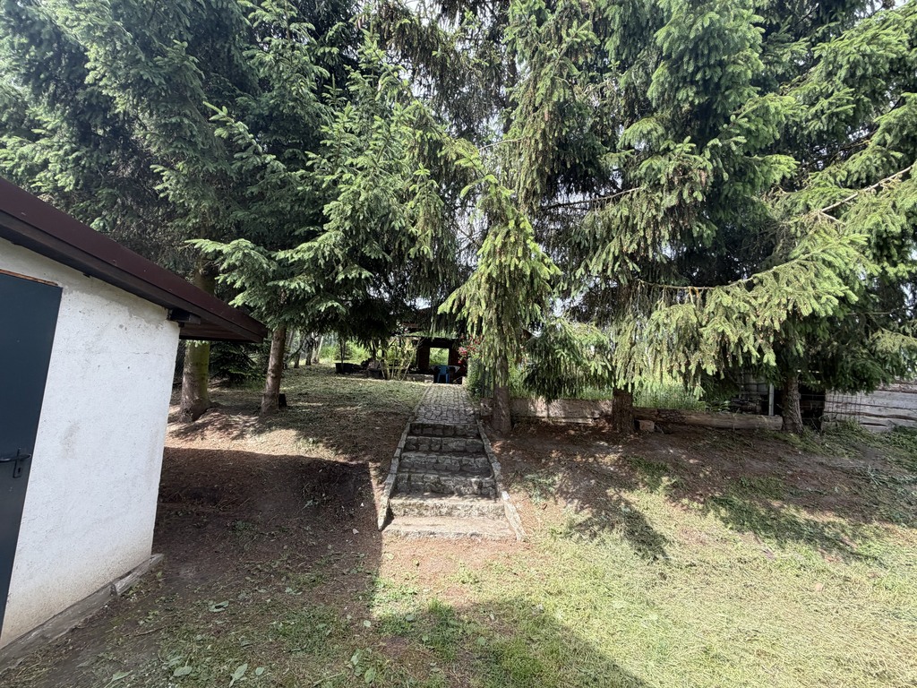 Dom na sprzedaż Brzezin 2 803 m2 | Arka Nieruchomości