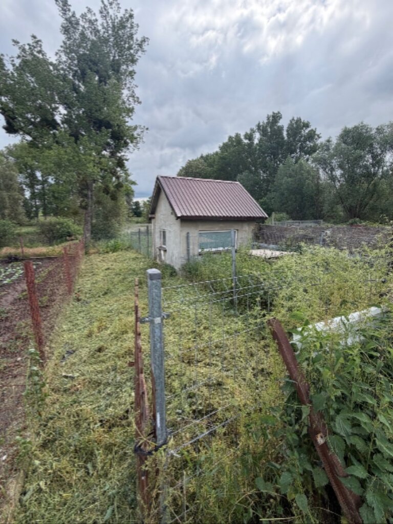 Dom na sprzedaż Brzezin 2 803 m2 | Arka Nieruchomości