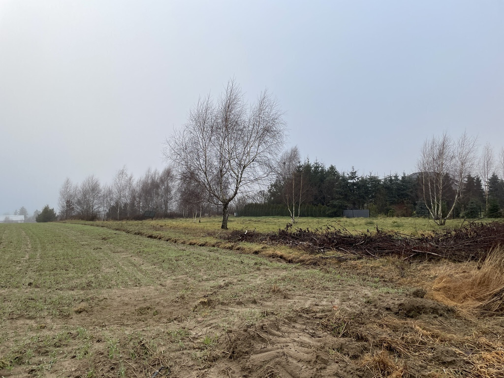 Dobrzewino – kompleks działek