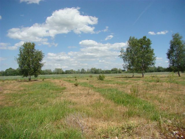 Działka na sprzedaż Stargard 1 540 m2 | Arka Nieruchomości