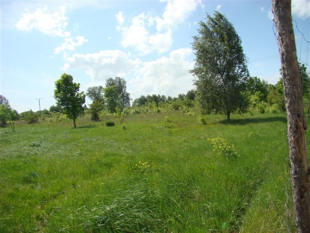Działka na sprzedaż Stargard 1 540 m2 | Arka Nieruchomości