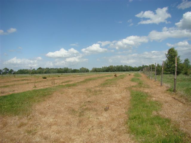 Działka na sprzedaż Stargard 1 540 m2 | Arka Nieruchomości