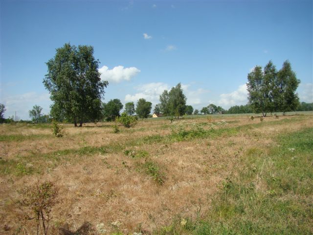 Działka na sprzedaż Stargard 1 540 m2 | Arka Nieruchomości