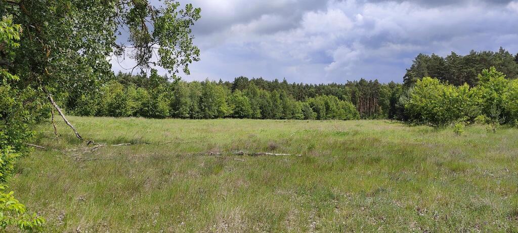 Działka na sprzedaż Żarnowo 9 609 m2 | Arka Nieruchomości