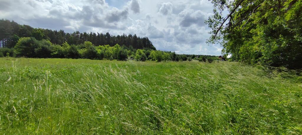 Działka na sprzedaż Żarnowo 9 609 m2 | Arka Nieruchomości