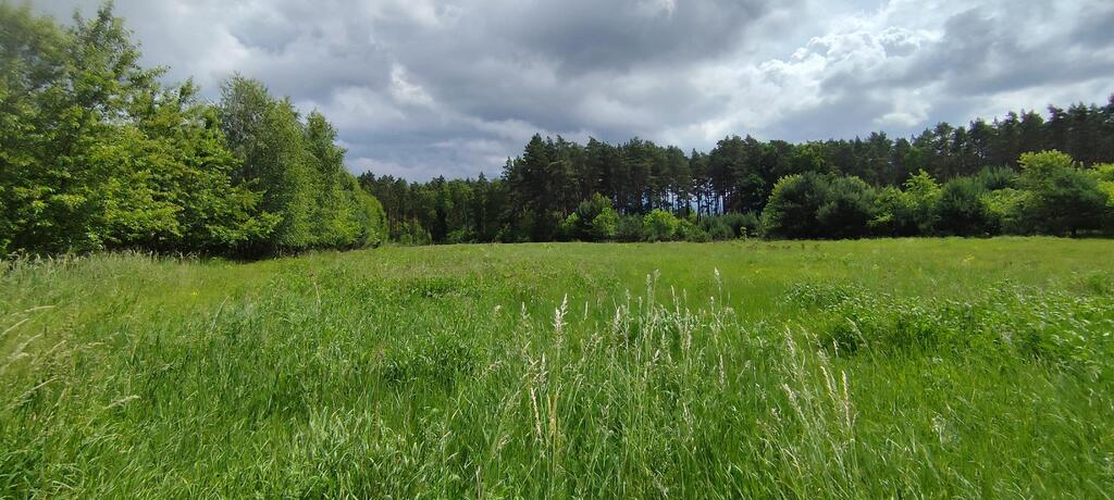 Działka na sprzedaż Żarnowo 9 609 m2 | Arka Nieruchomości