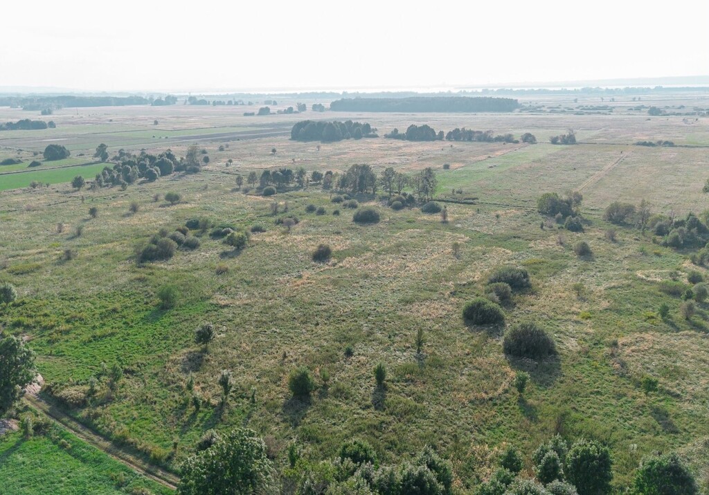 Działka na sprzedaż Rurzyca 1 212 m2 | Arka Nieruchomości