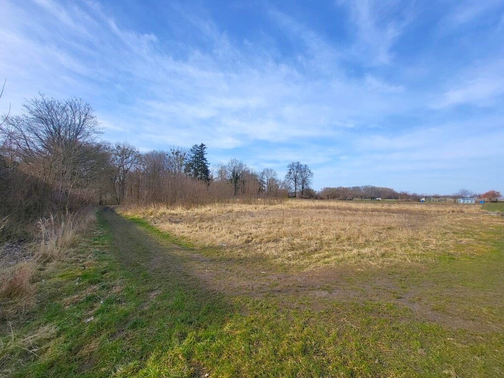 Działka na sprzedaż Koszewo 2 400 m2 | Arka Nieruchomości