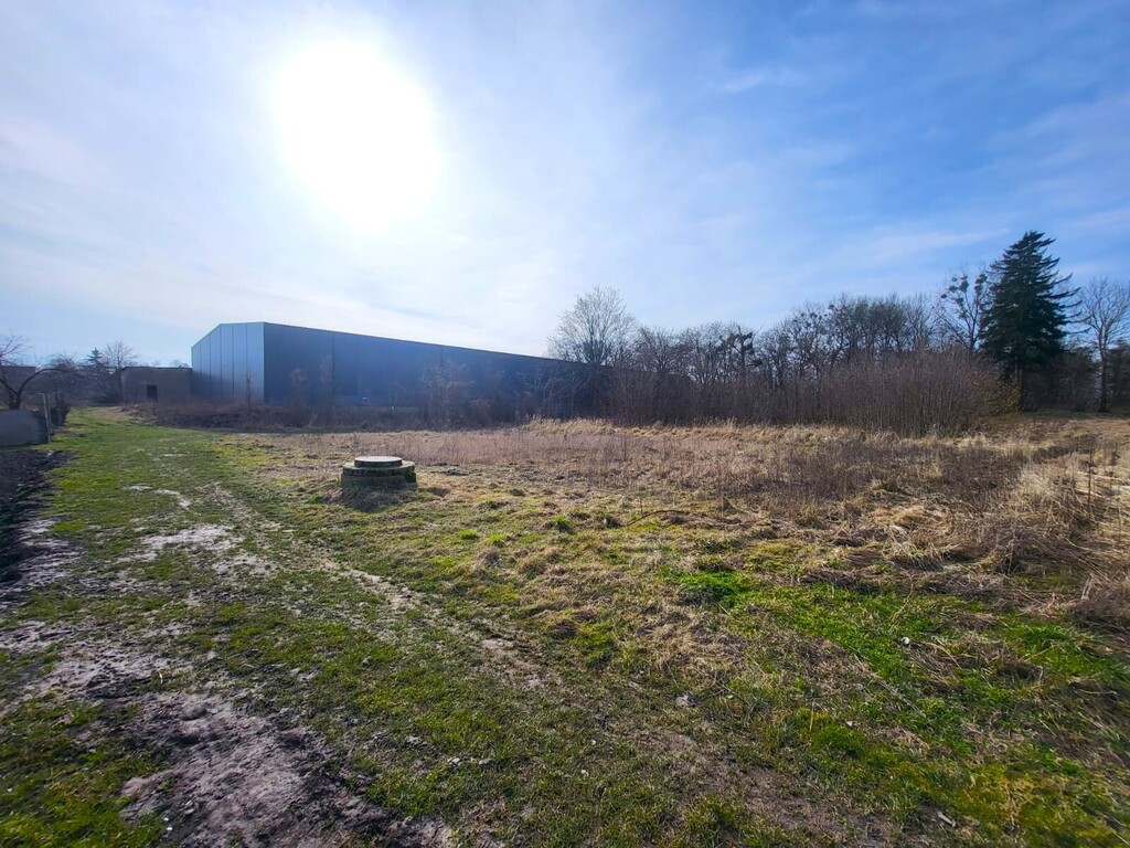 Działka na sprzedaż Koszewo 2 400 m2 | Arka Nieruchomości