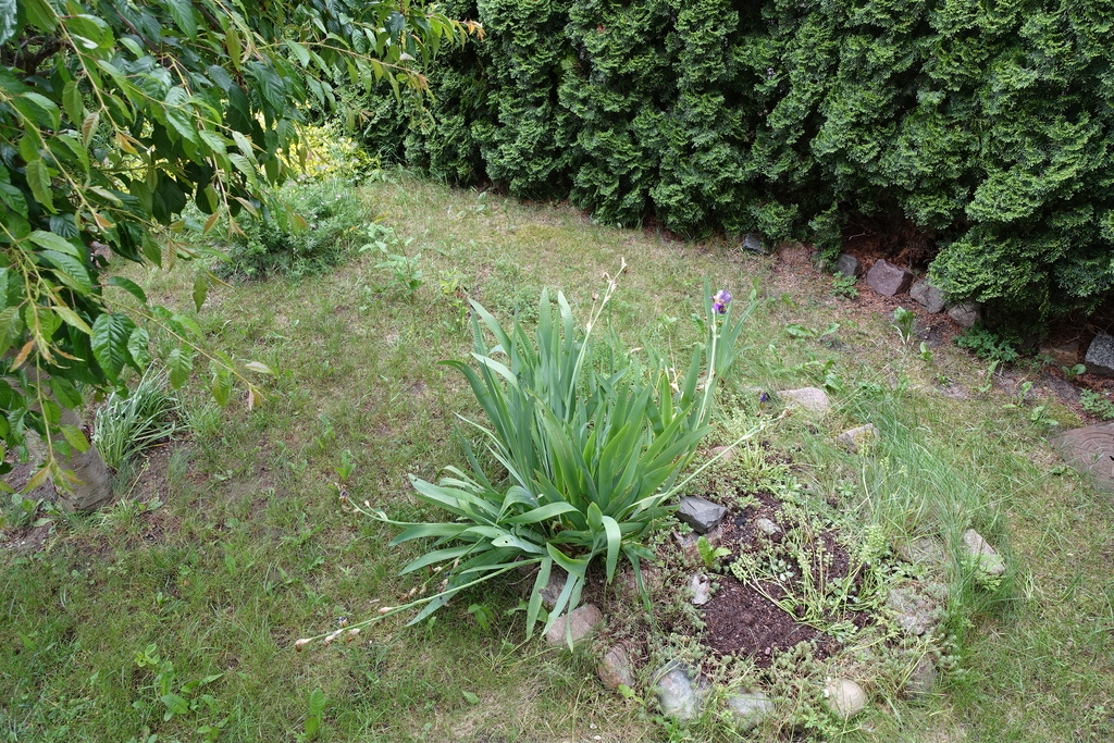 Mieszkanie na wynajem Warzymice 43 m2 | Arka Nieruchomości