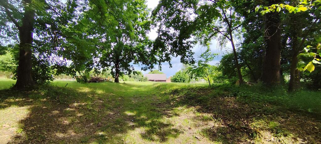 Działka na sprzedaż Żarnowo 2 646 m2 | Arka Nieruchomości