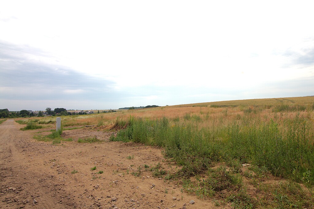 Działka na sprzedaż Bielkowo 1 300 m2 | Arka Nieruchomości