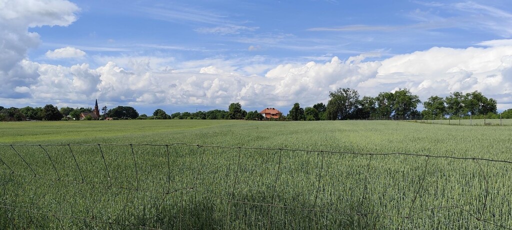 Działka na sprzedaż Żarnowo 3 000 m2 | Arka Nieruchomości