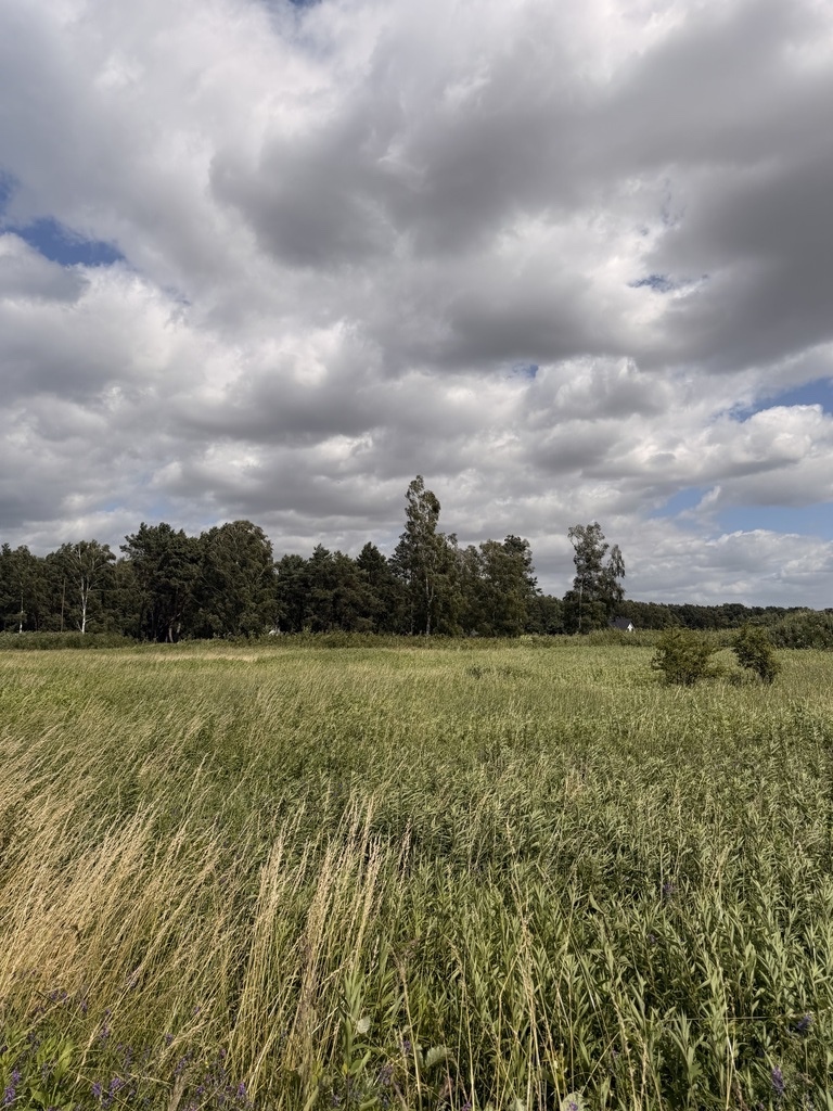 Działka na sprzedaż Niedźwiedź 1 100 m2 | Arka Nieruchomości