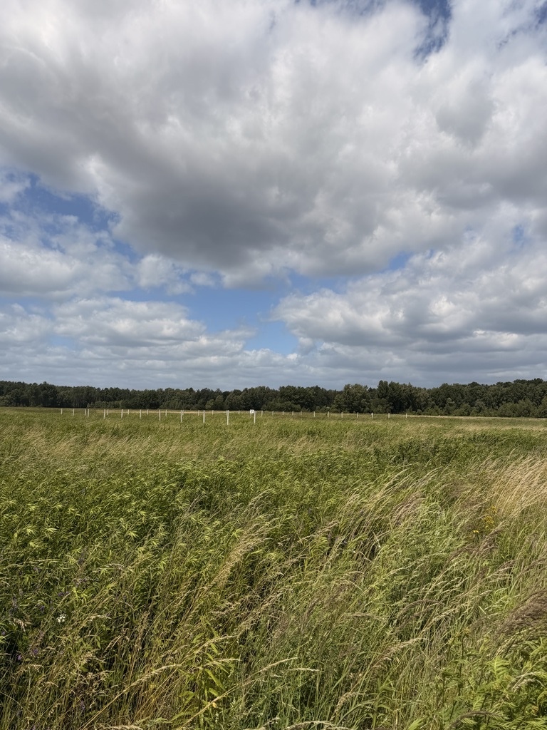 Działka na sprzedaż Niedźwiedź 1 100 m2 | Arka Nieruchomości
