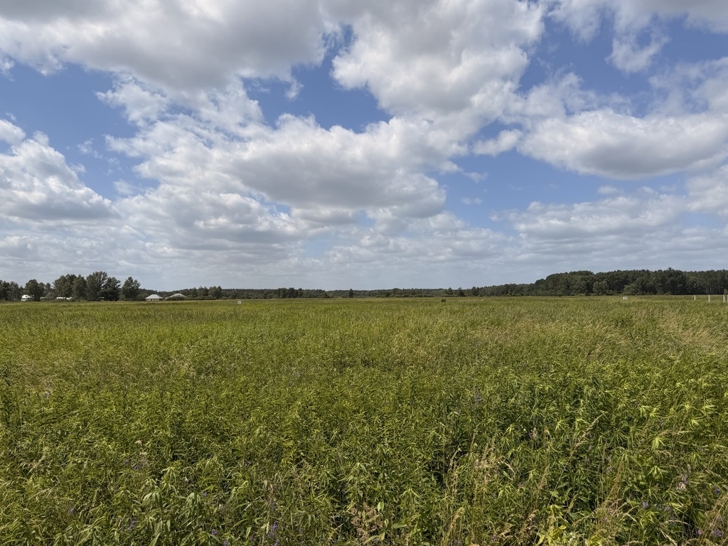 Działka na sprzedaż Niedźwiedź 1 100 m2 | Arka Nieruchomości