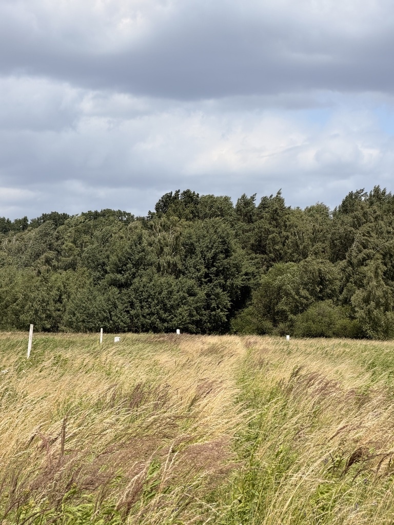 Działka na sprzedaż Niedźwiedź 1 100 m2 | Arka Nieruchomości