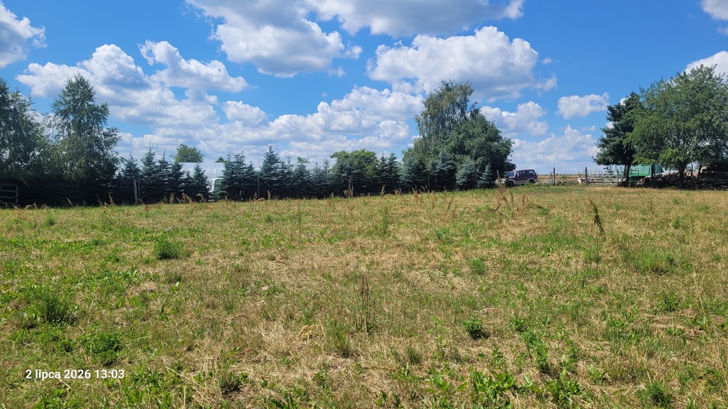 Działka na sprzedaż Wiśniewo 7 800 m2 | Arka Nieruchomości
