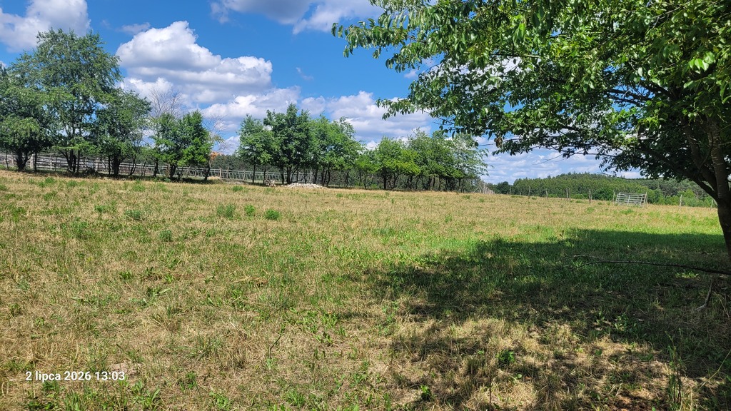 Działka na sprzedaż Wiśniewo 7 800 m2 | Arka Nieruchomości