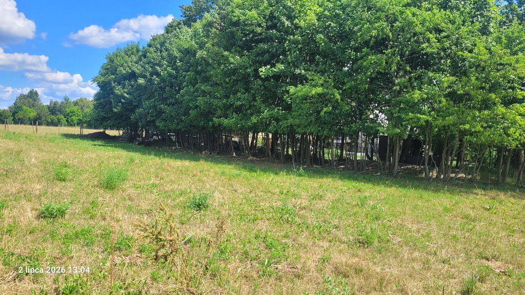 Działka na sprzedaż Wiśniewo 7 800 m2 | Arka Nieruchomości