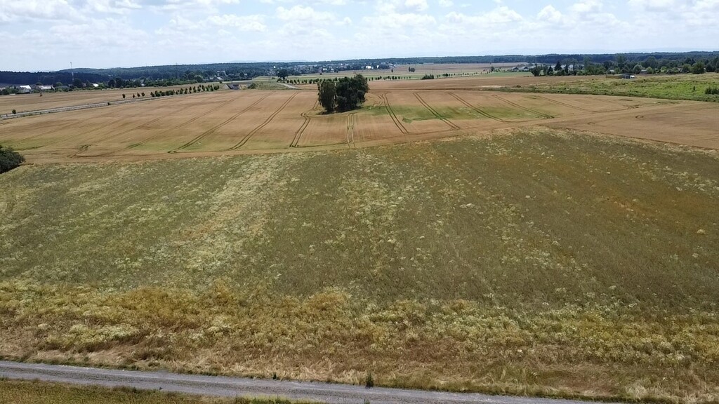 Działka na osiedlu Kozia Górka– Bolesławiec