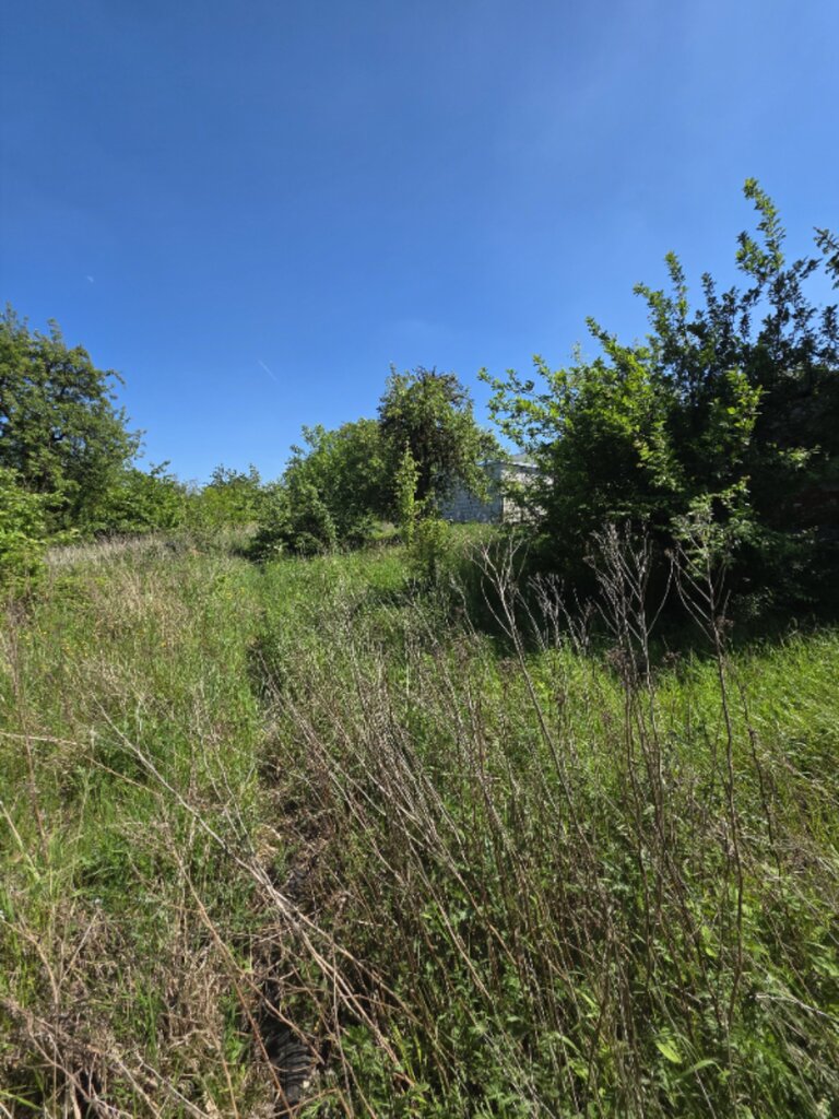 Działka na sprzedaż Przęsocin 1 700 m2 | Arka Nieruchomości