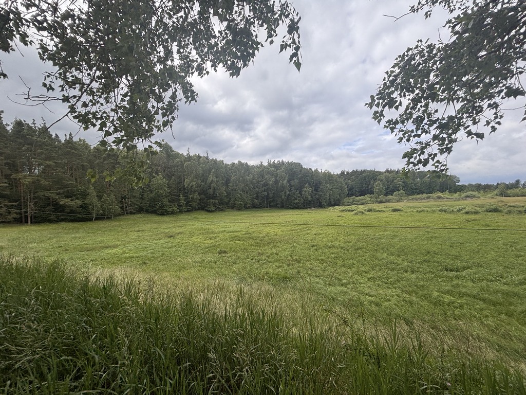 Działka na sprzedaż Piaseczno 30 010 m2 | Arka Nieruchomości