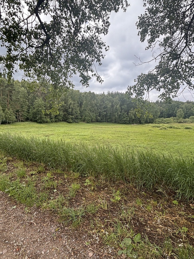 Działka na sprzedaż Piaseczno 30 010 m2 | Arka Nieruchomości