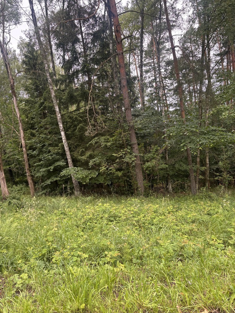 Działka na sprzedaż Piaseczno 30 010 m2 | Arka Nieruchomości