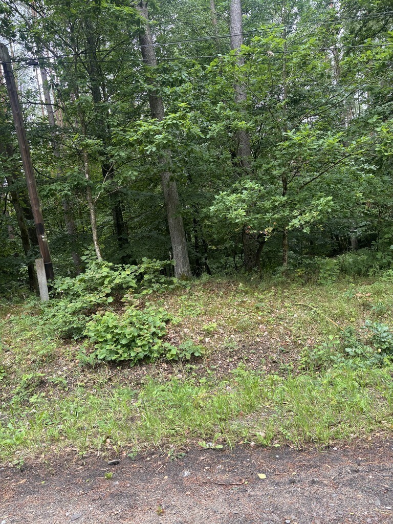 Działka na sprzedaż Piaseczno 30 010 m2 | Arka Nieruchomości
