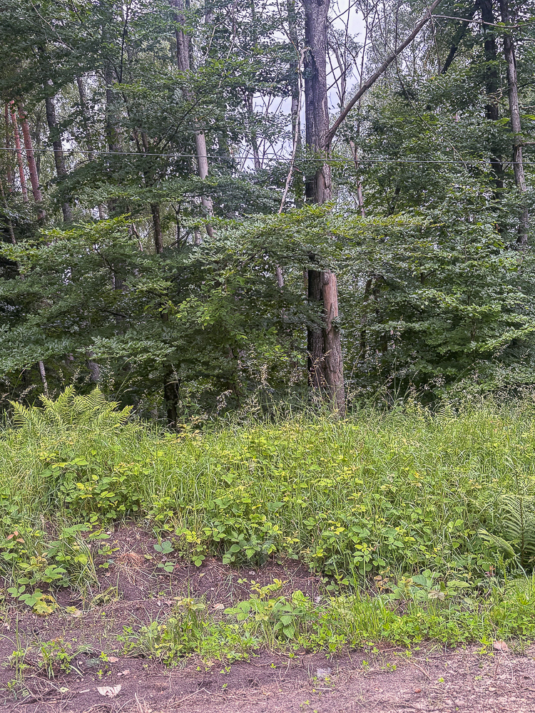 Działka na sprzedaż Piaseczno 30 010 m2 | Arka Nieruchomości