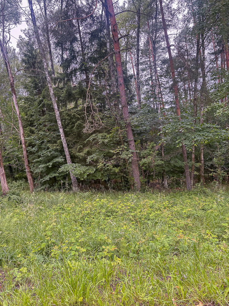 Działka na sprzedaż Piaseczno 30 010 m2 | Arka Nieruchomości