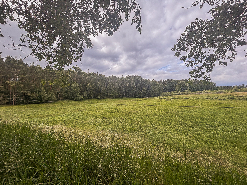 Działka na sprzedaż Piaseczno 30 010 m2 | Arka Nieruchomości