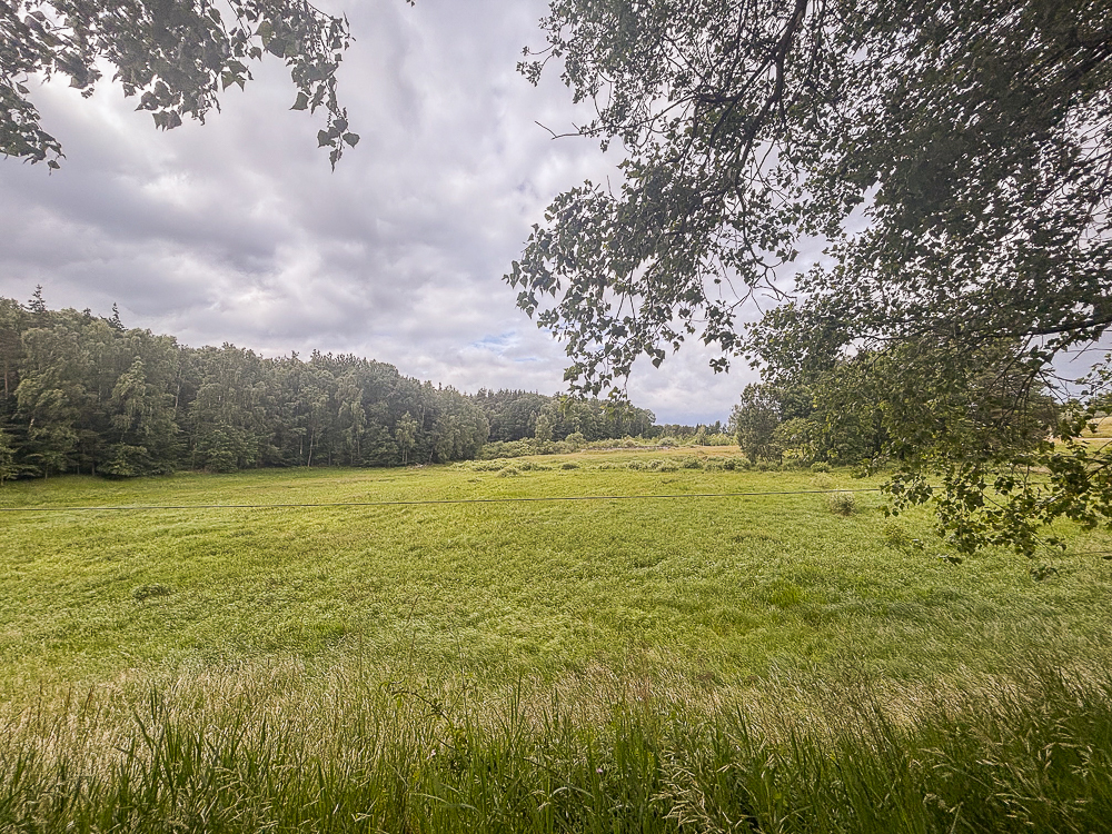 Działka na sprzedaż Piaseczno 30 010 m2 | Arka Nieruchomości
