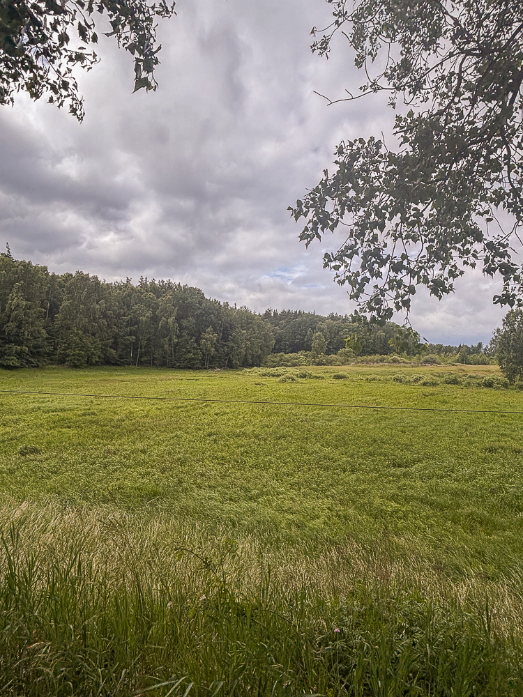 Działka na sprzedaż Piaseczno 30 010 m2 | Arka Nieruchomości
