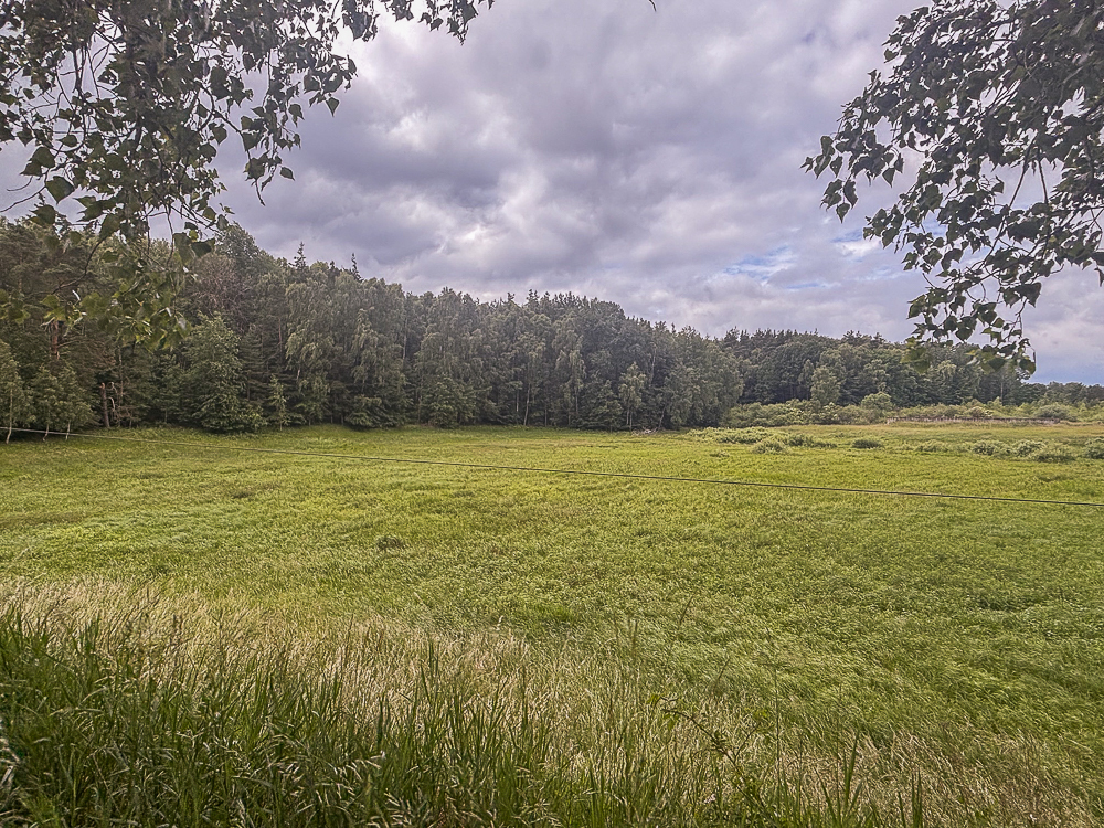 Działka na sprzedaż Piaseczno 30 010 m2 | Arka Nieruchomości