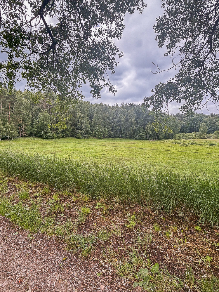 Działka na sprzedaż Piaseczno 30 010 m2 | Arka Nieruchomości