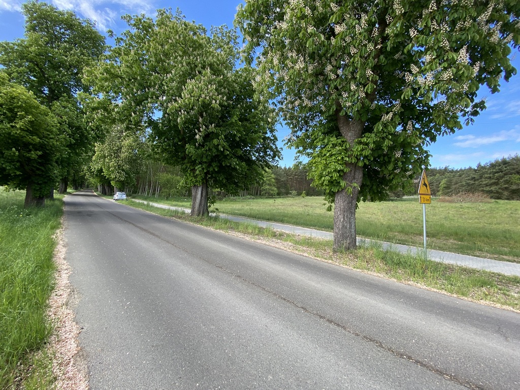 Działka na sprzedaż Buk 1 237 m2 | Arka Nieruchomości