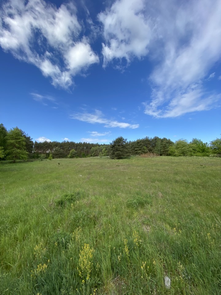 Działka na sprzedaż Buk 1 237 m2 | Arka Nieruchomości