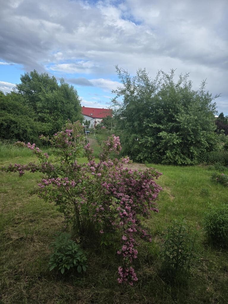 Dom na sprzedaż Przęsocin 106 m2 | Arka Nieruchomości