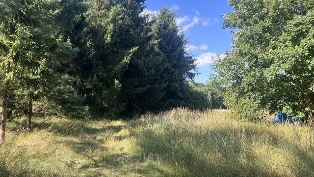 Działka na sprzedaż Tanowo 3 000 m2 | Arka Nieruchomości