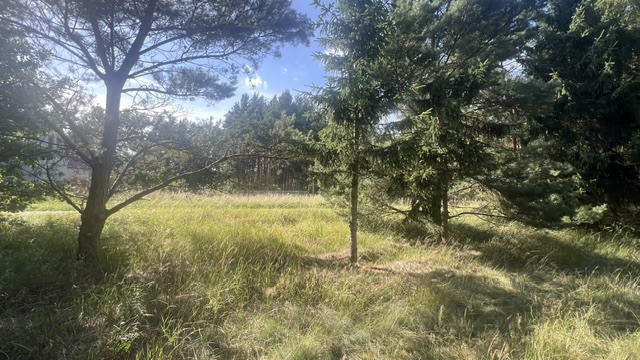 Działka na sprzedaż Tanowo 3 000 m2 | Arka Nieruchomości